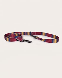 ZION NATIONAL PARK ADVENTURE LEASH IN ZION image number 1