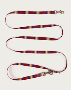 ALTERNATE VIEW OF ZION NATIONAL PARK ADVENTURE LEASH IN ZION image number 2