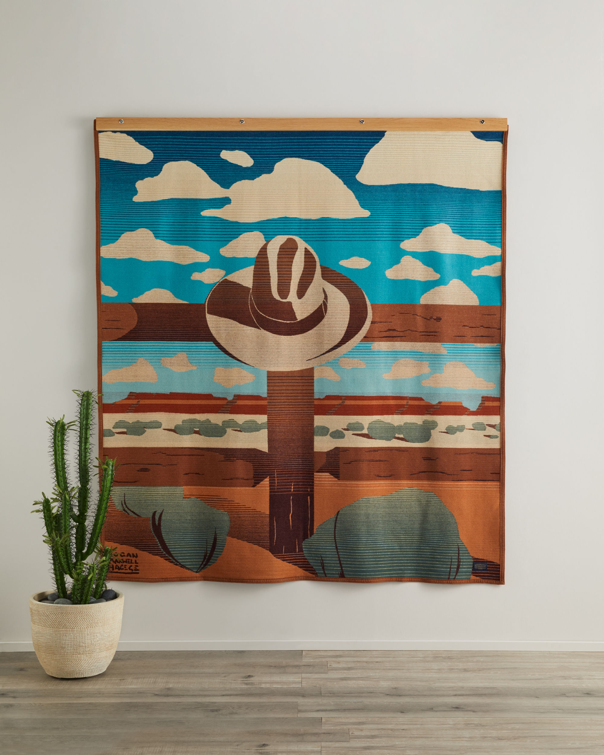 Throw blanket wall hanger best sale