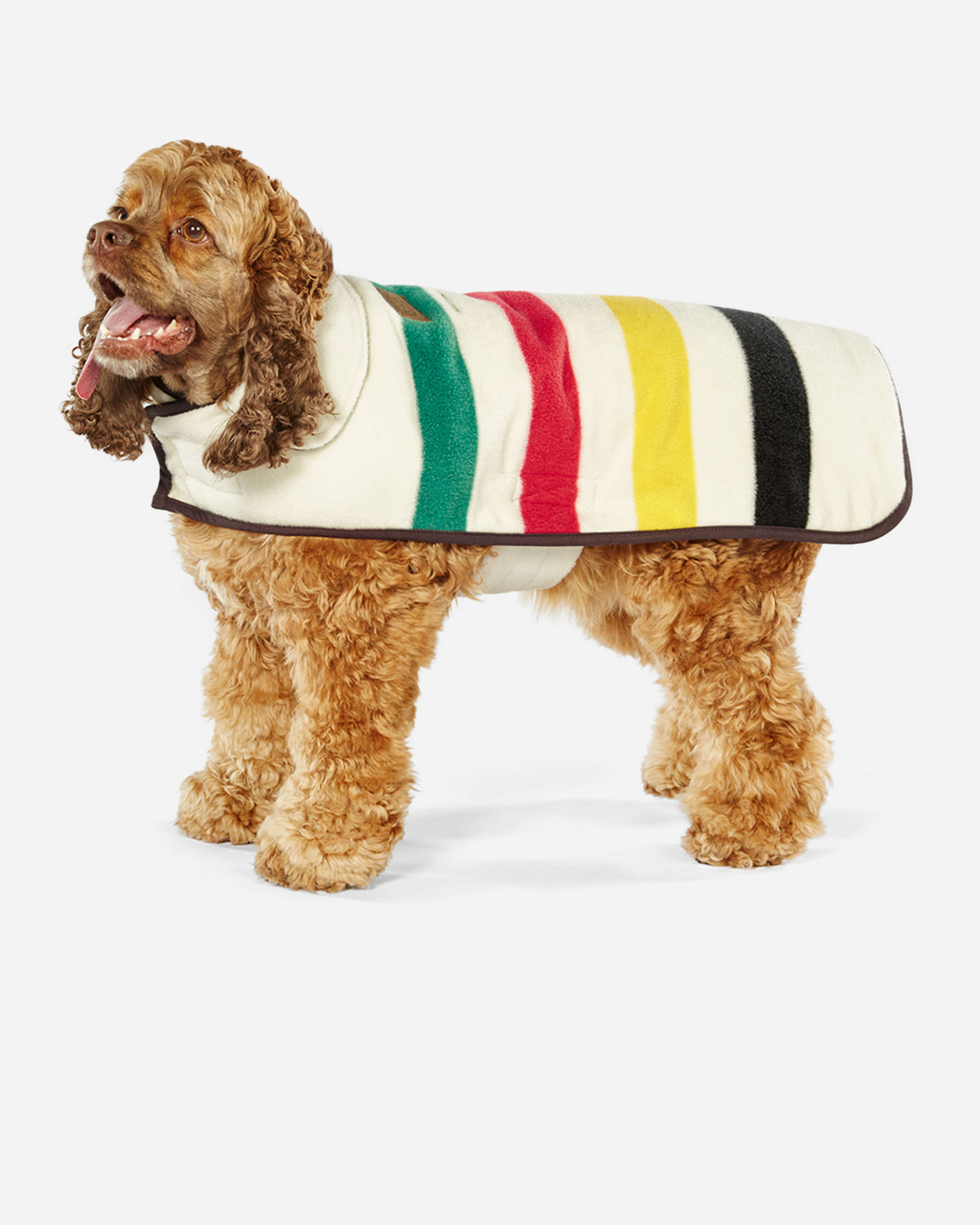 Pendleton dog jacket top