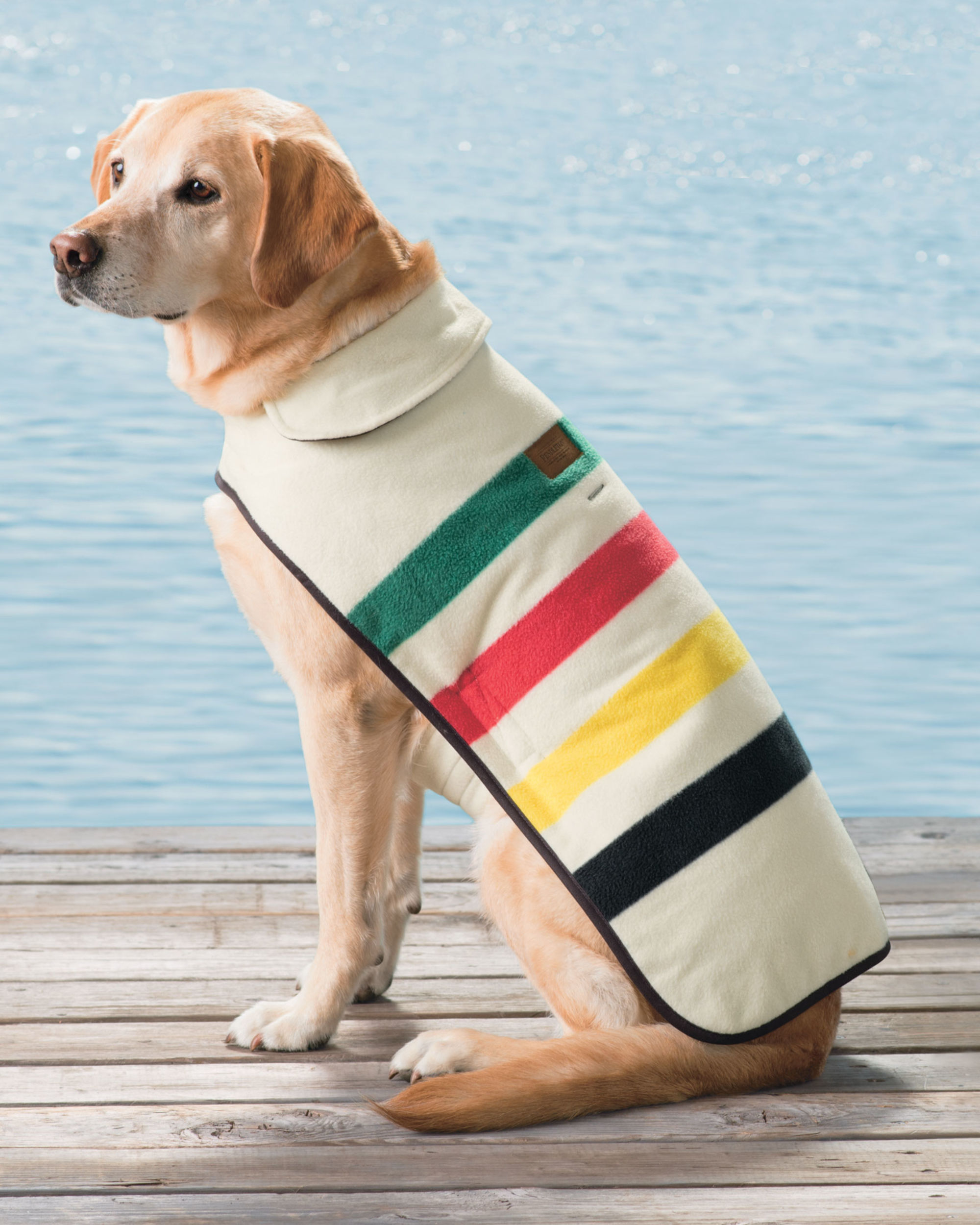 Glacier National Park Dog Coat Pendleton